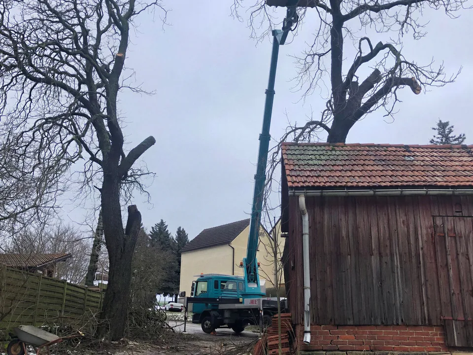Rückbau und Rodung mit Hebebühne auf einem Grundstück